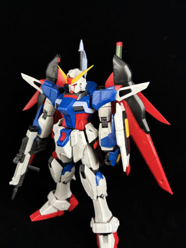 RG　デスティニーガンダム作ってみたよ！！！