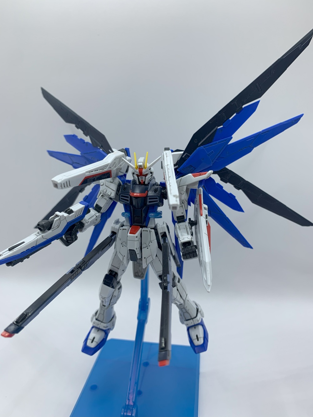 スミ入れフリーダム